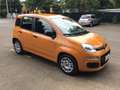 Fiat Panda 1.0 firefly hybrid s&s 70cv - thumbnail 5
