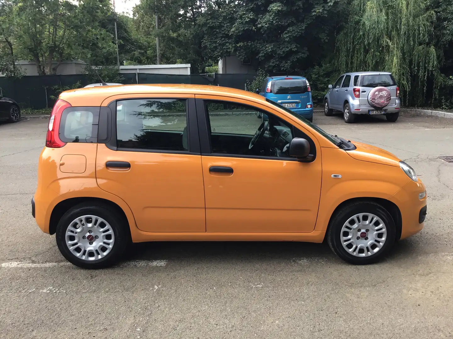 Fiat Panda 1.0 firefly hybrid s&s 70cv - 2