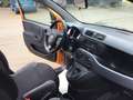 Fiat Panda 1.0 firefly hybrid s&s 70cv - thumbnail 10