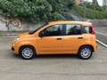 Fiat Panda 1.0 firefly hybrid s&s 70cv - thumbnail 1