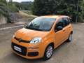 Fiat Panda 1.0 firefly hybrid s&s 70cv - thumbnail 3