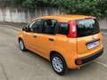 Fiat Panda 1.0 firefly hybrid s&s 70cv - thumbnail 7