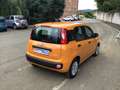 Fiat Panda 1.0 firefly hybrid s&s 70cv - thumbnail 4