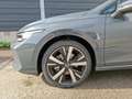 Volkswagen Golf Variant Business TDI DSG Grau - thumbnail 14