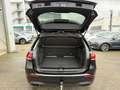 Mercedes-Benz B 200 d AMG Line +Night-Paket+SHZ+AHK+Leder+AMG++ Noir - thumbnail 21
