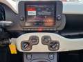 Fiat Panda Cross Hybrid 1.0 GSE CarPlay DAB PDC - thumbnail 15