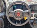 Fiat Panda Cross Hybrid 1.0 GSE CarPlay DAB PDC - thumbnail 13