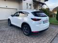 Mazda CX-5 CX-5 CD150 AWD Revolution Top Weiß - thumbnail 3