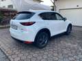 Mazda CX-5 CX-5 CD150 AWD Revolution Top Weiß - thumbnail 4