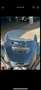 Indian Chieftain Siyah - thumbnail 7