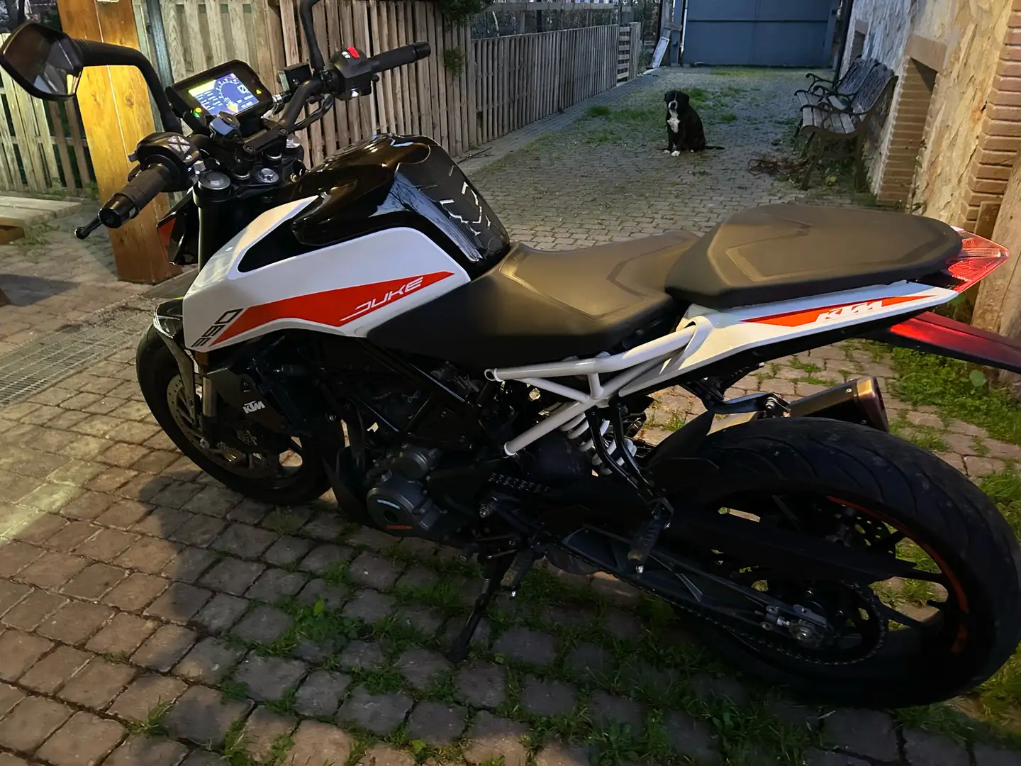 KTM 390 Duke Duke 390 ABS QUICK SHIFT - 1