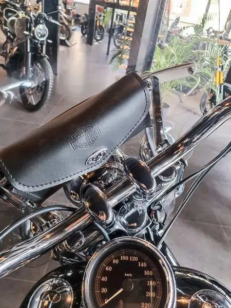 Harley-Davidson Heritage Softail - foto 8