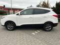 Hyundai iX35 ix35 1.6 2WD Fifa WorldCup Edition*KLIMA*PDC*LEDER Blanc - thumbnail 5
