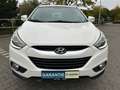 Hyundai iX35 ix35 1.6 2WD Fifa WorldCup Edition*KLIMA*PDC*LEDER Blanc - thumbnail 6
