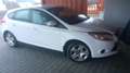 Ford Focus Focus 1,6 TDCi DPF ECOnetic ECOnetic Weiß - thumbnail 3