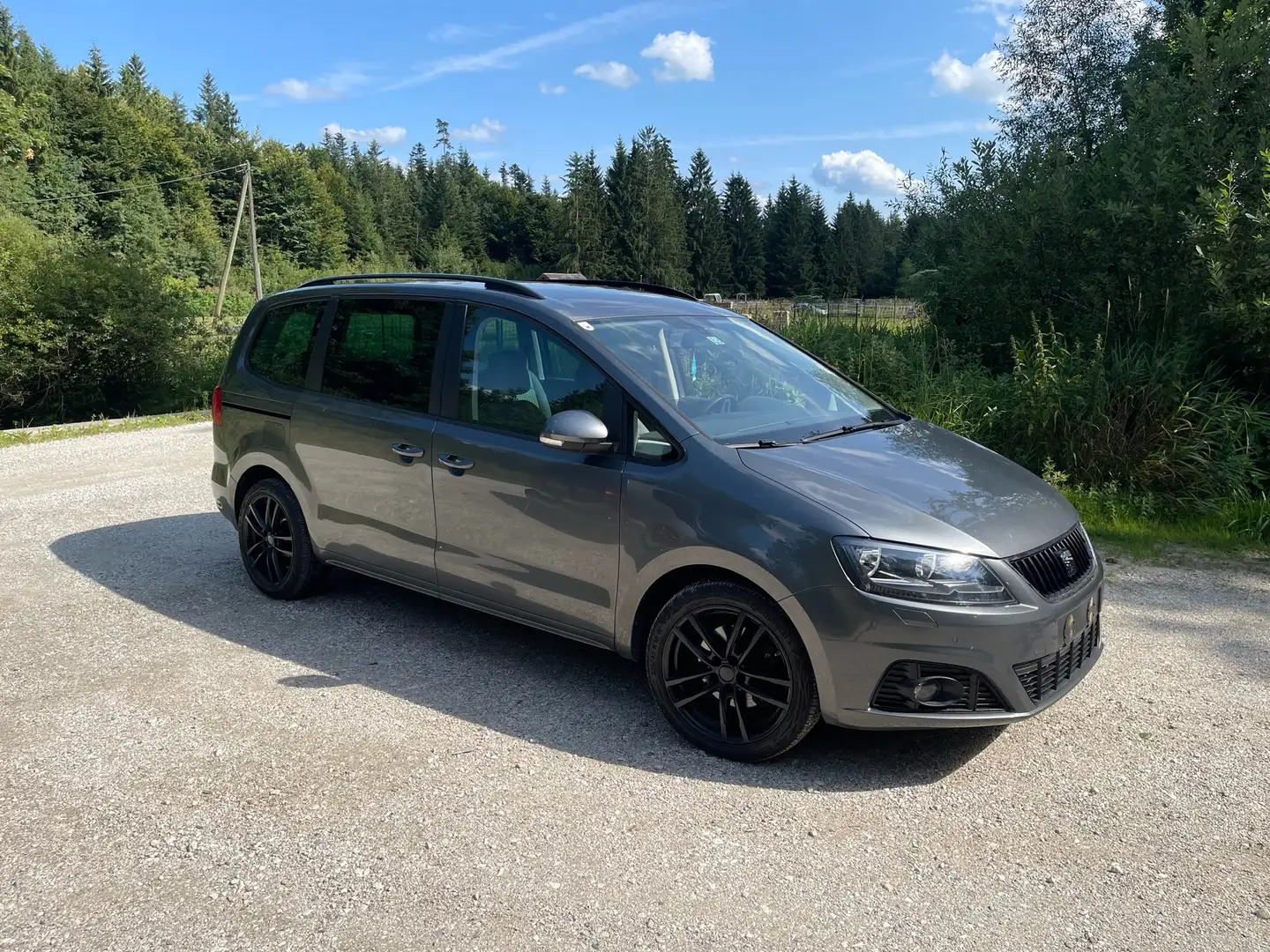 SEAT Alhambra 2.0 TDI Ecomotive Reference Silver - 1