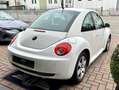Volkswagen New Beetle 1.9 TDi 105CV Blanc - thumbnail 2