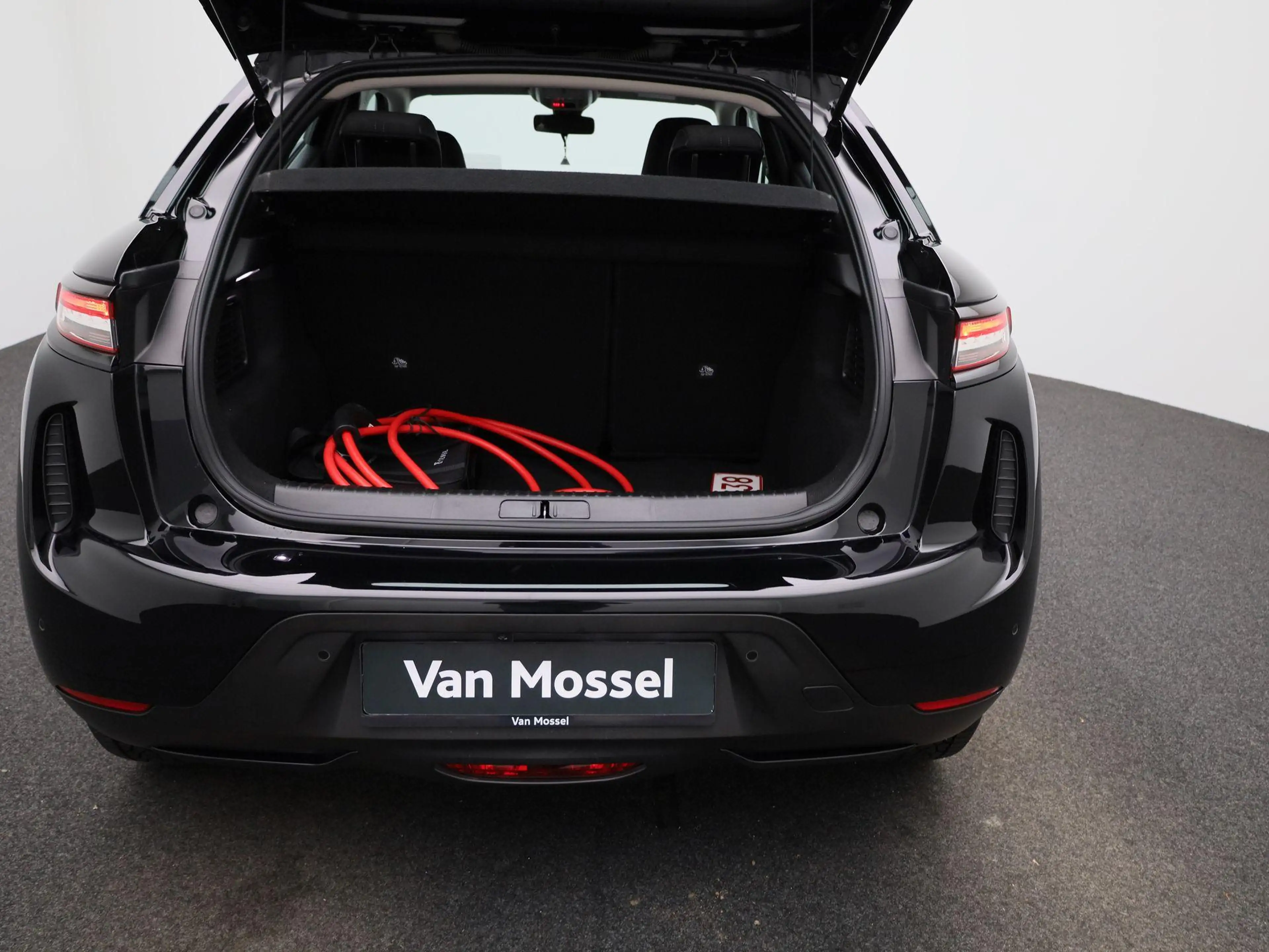 DS Automobiles DS 3 E-Tense PERFORMANCE Line | Parkeer camera | Apple — photo 11