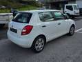 Skoda Fabia Fabia Active+ 1,2 TSI DSG Active+ Wit - thumbnail 4