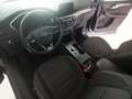 Ford Kuga 1.5 ecoblue Connect 2wd 120cv auto - thumbnail 14