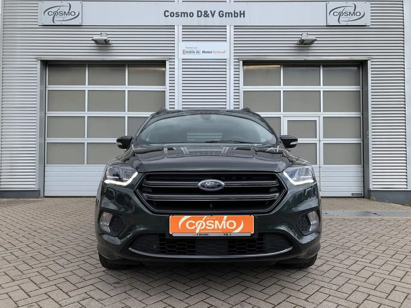 Ford Kuga 2.0 ST-Line AWD AHK+Xenon+Navi+Sitzhzg Зелений - 2