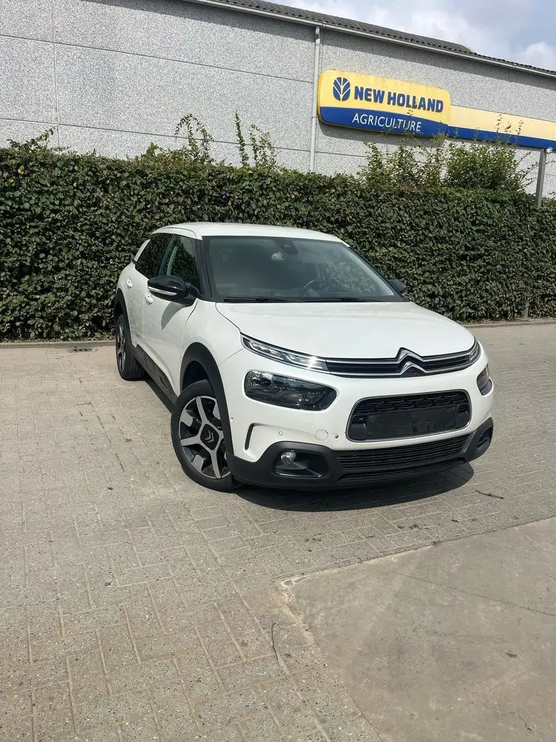 Citroen C4 Cactus Citroën C4 Cactus année 2020 - 2