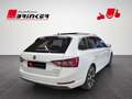 Skoda Superb Style 4x4 2.0 TDI AHK Navi LED SmartLink Bianco - thumbnail 6