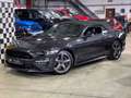 Ford Mustang MUSTANG GT CALIFORNIA SPEZIAL+CABRIO+ACC+MAGN.R Grigio - thumbnail 2