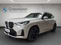 BMW X3 X3 20d xDrive Grigio - thumbnail 1