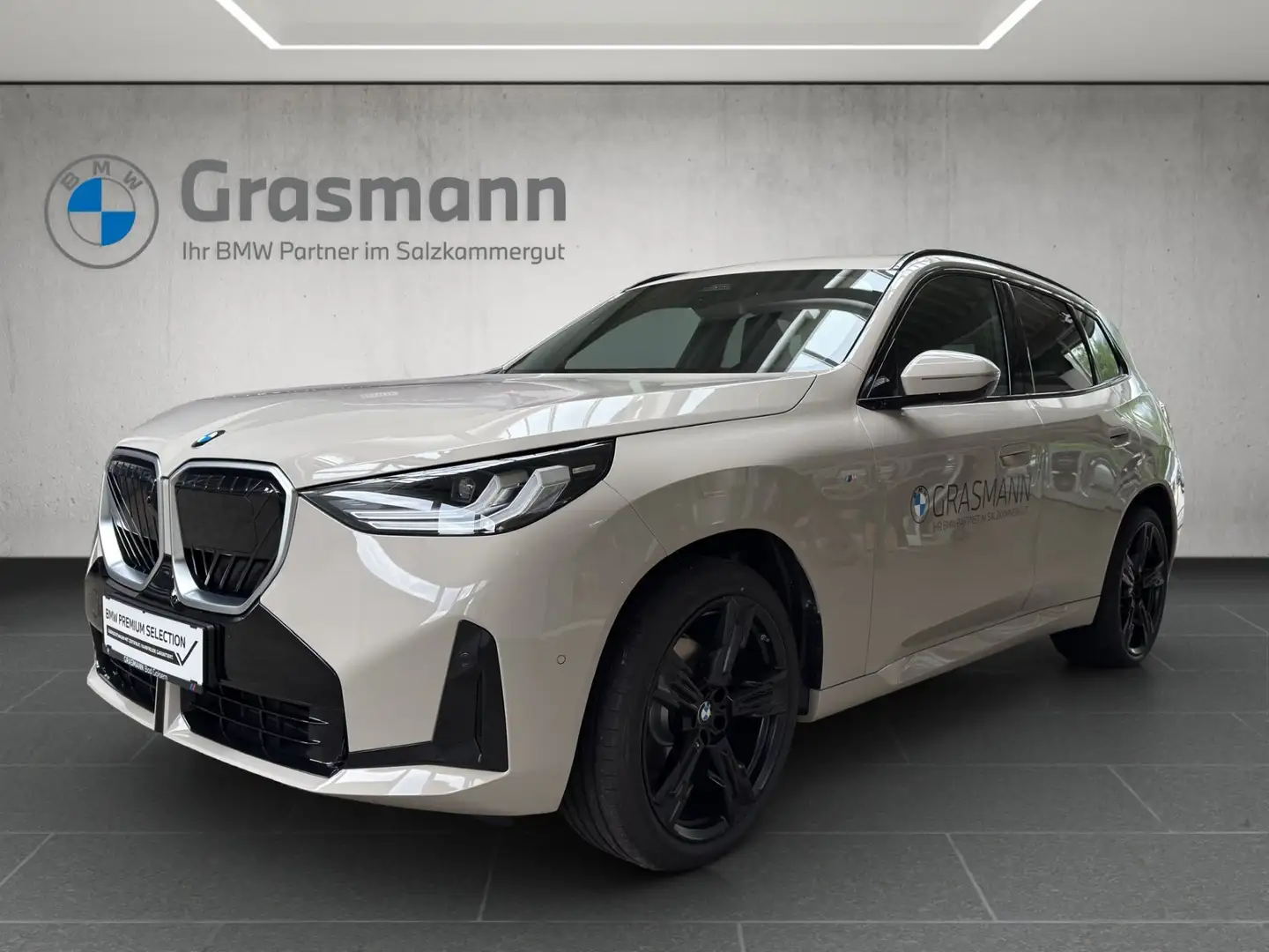 BMW X3 X3 20d xDrive Grigio - 1