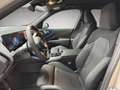 BMW X3 X3 20d xDrive Grigio - thumbnail 9