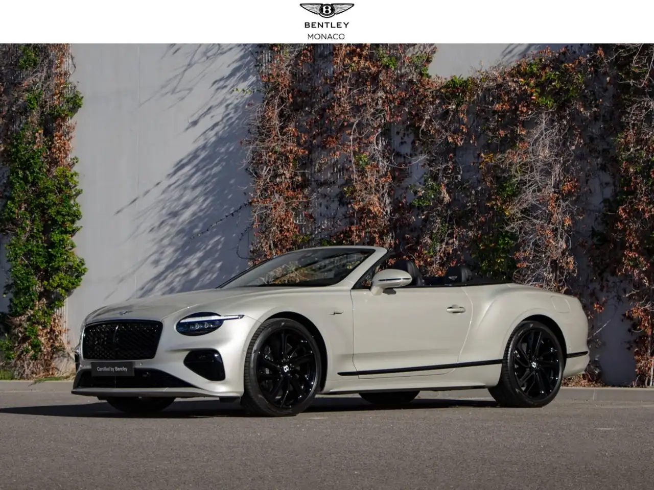 Bentley Continental GTC