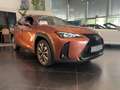 Lexus UX 300e UX 300h F Sport Design Red - thumbnail 5