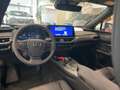 Lexus UX 300e UX 300h F Sport Design Red - thumbnail 10