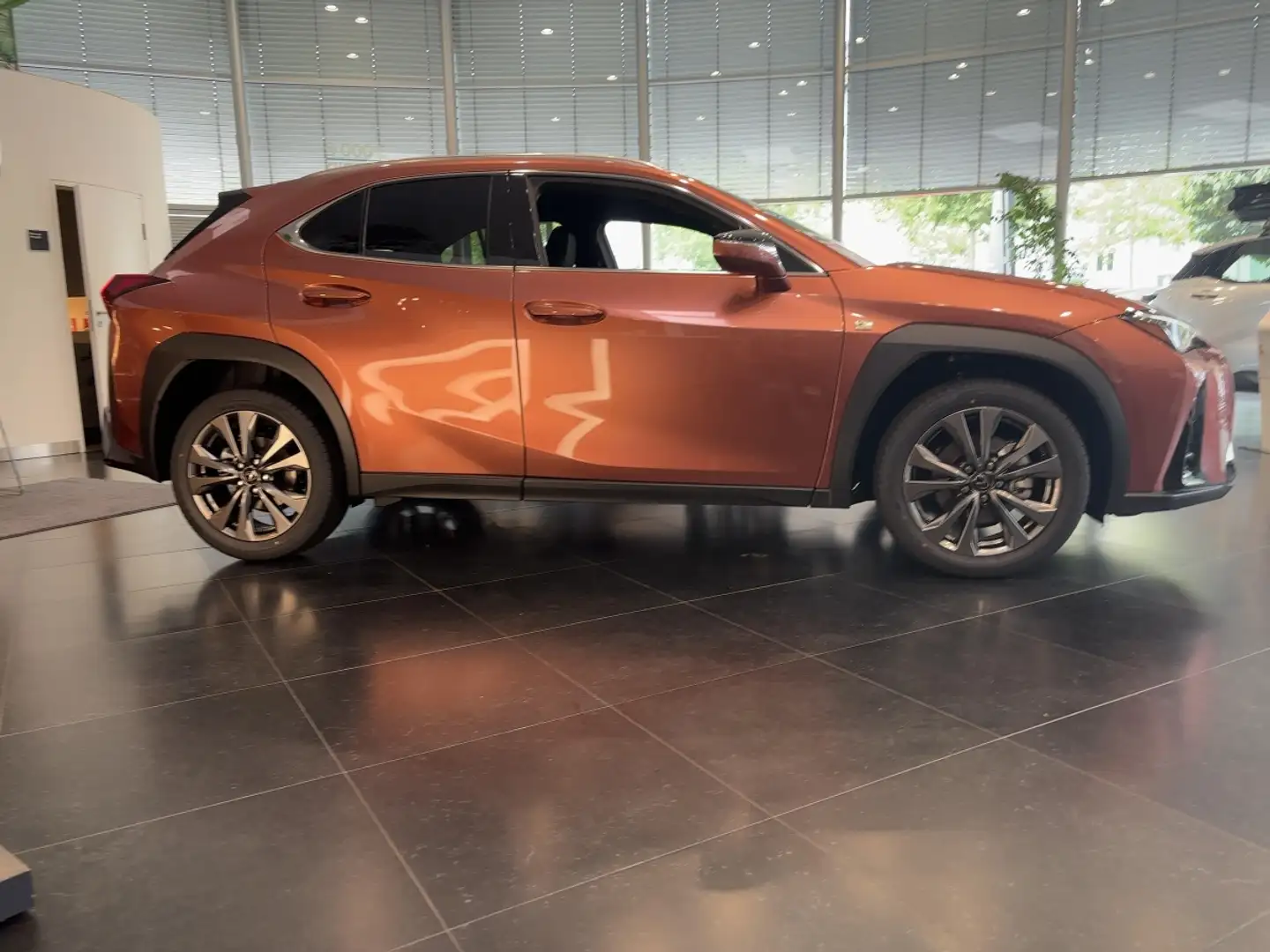 Lexus UX 300e UX 300h F Sport Design Red - 2