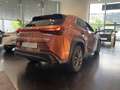 Lexus UX 300e UX 300h F Sport Design Red - thumbnail 4