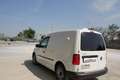 Volkswagen Caddy 2.0 tdi 102cv TRASPORTO ANIMALI VIVI Bianco - thumbnail 15
