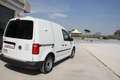 Volkswagen Caddy 2.0 tdi 102cv TRASPORTO ANIMALI VIVI Bianco - thumbnail 13