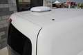 Volkswagen Caddy 2.0 tdi 102cv TRASPORTO ANIMALI VIVI Bianco - thumbnail 11