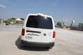 Volkswagen Caddy 2.0 tdi 102cv TRASPORTO ANIMALI VIVI Bianco - thumbnail 14