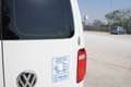 Volkswagen Caddy 2.0 tdi 102cv TRASPORTO ANIMALI VIVI Bianco - thumbnail 7