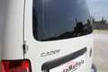 Volkswagen Caddy 2.0 tdi 102cv TRASPORTO ANIMALI VIVI Bianco - thumbnail 12