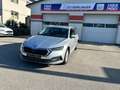 Skoda Octavia Ambition Grau - thumbnail 3