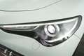 Alfa Romeo Stelvio ALFA ROMEO Stelvio 2.2 Turbodiesel 150 CV AT8 RWD Bianco - thumbnail 13