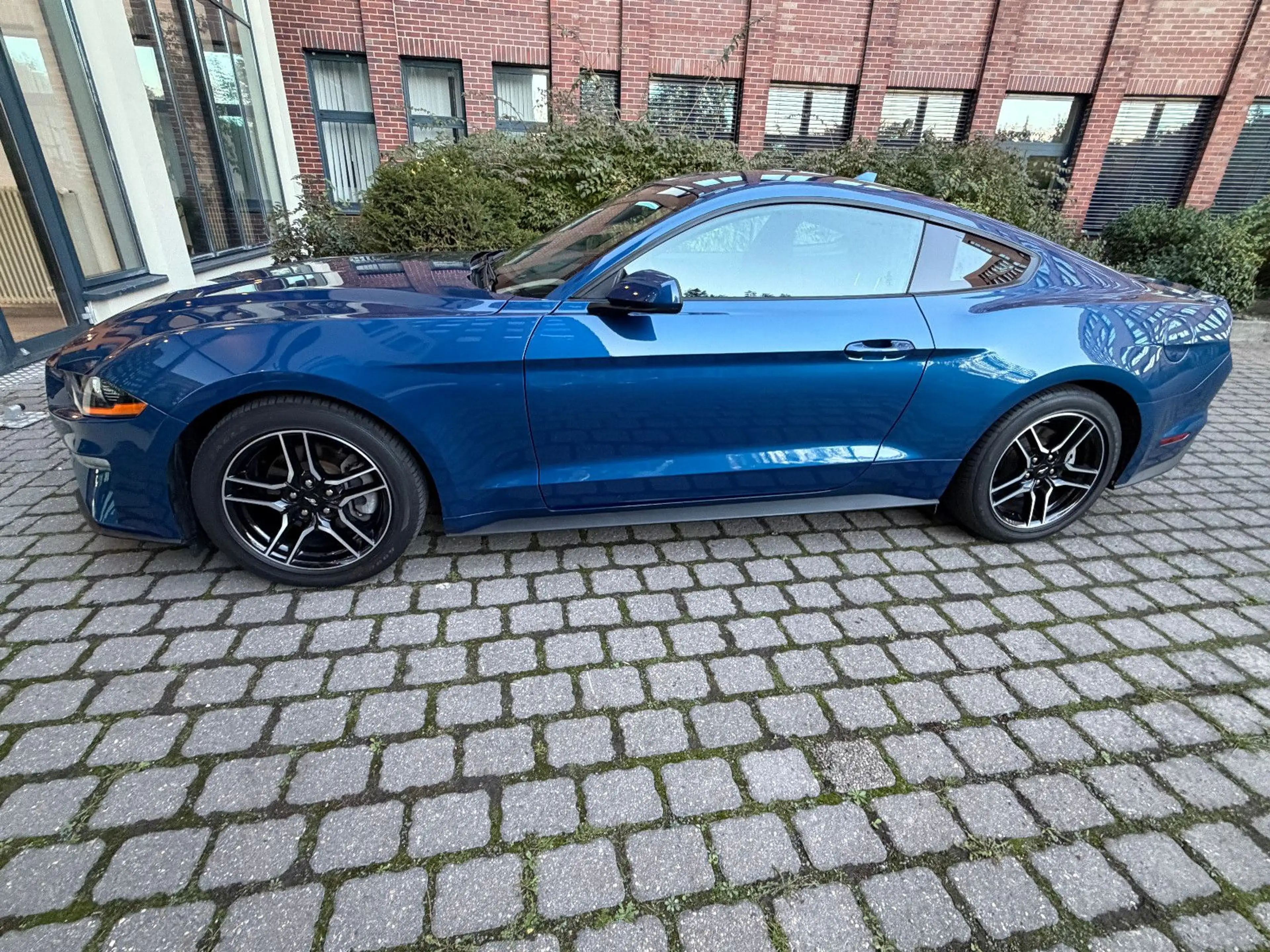 Ford Mustang Basis Fastback — photo 6