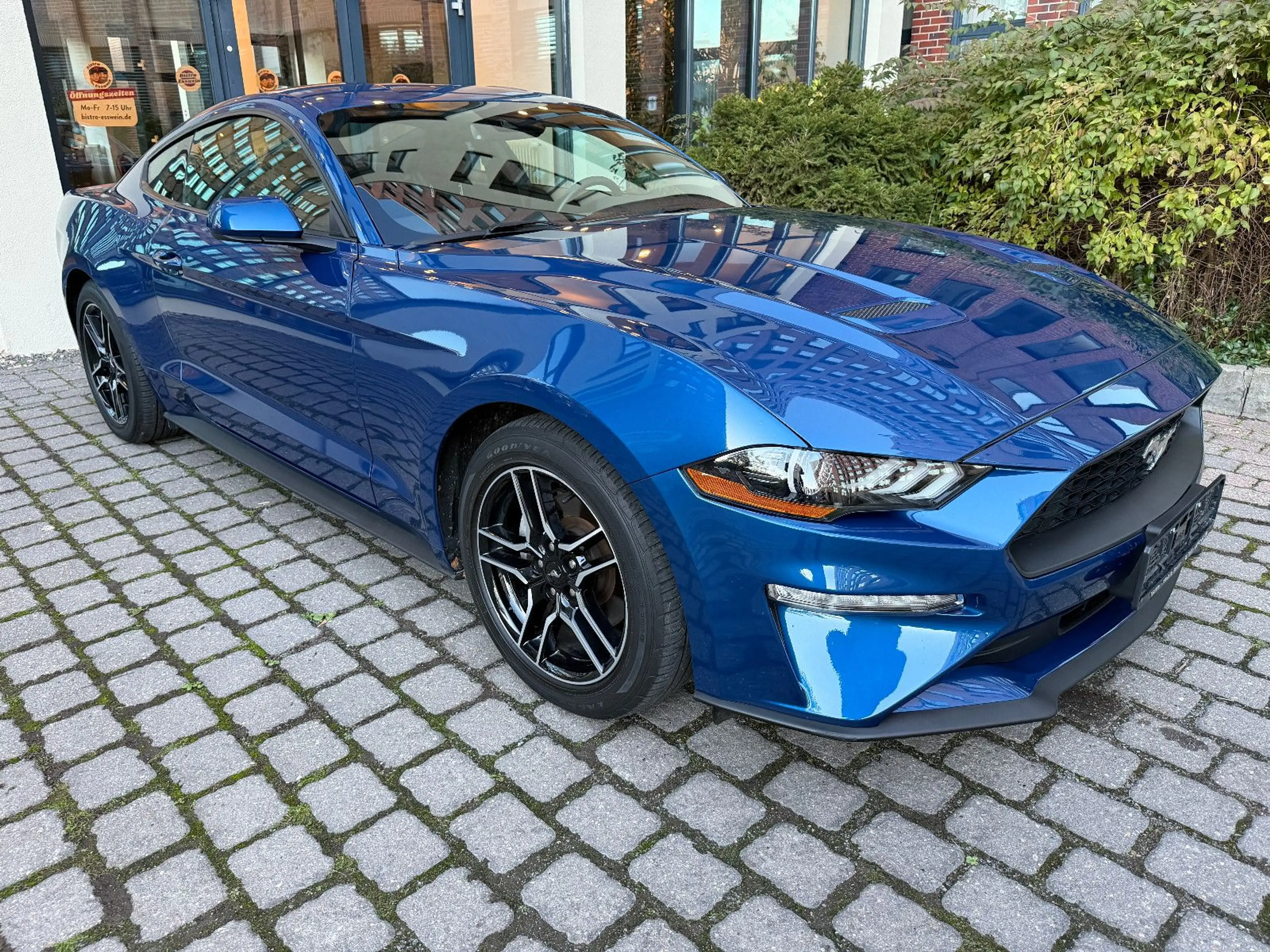 Ford Mustang Basis Fastback — photo 2