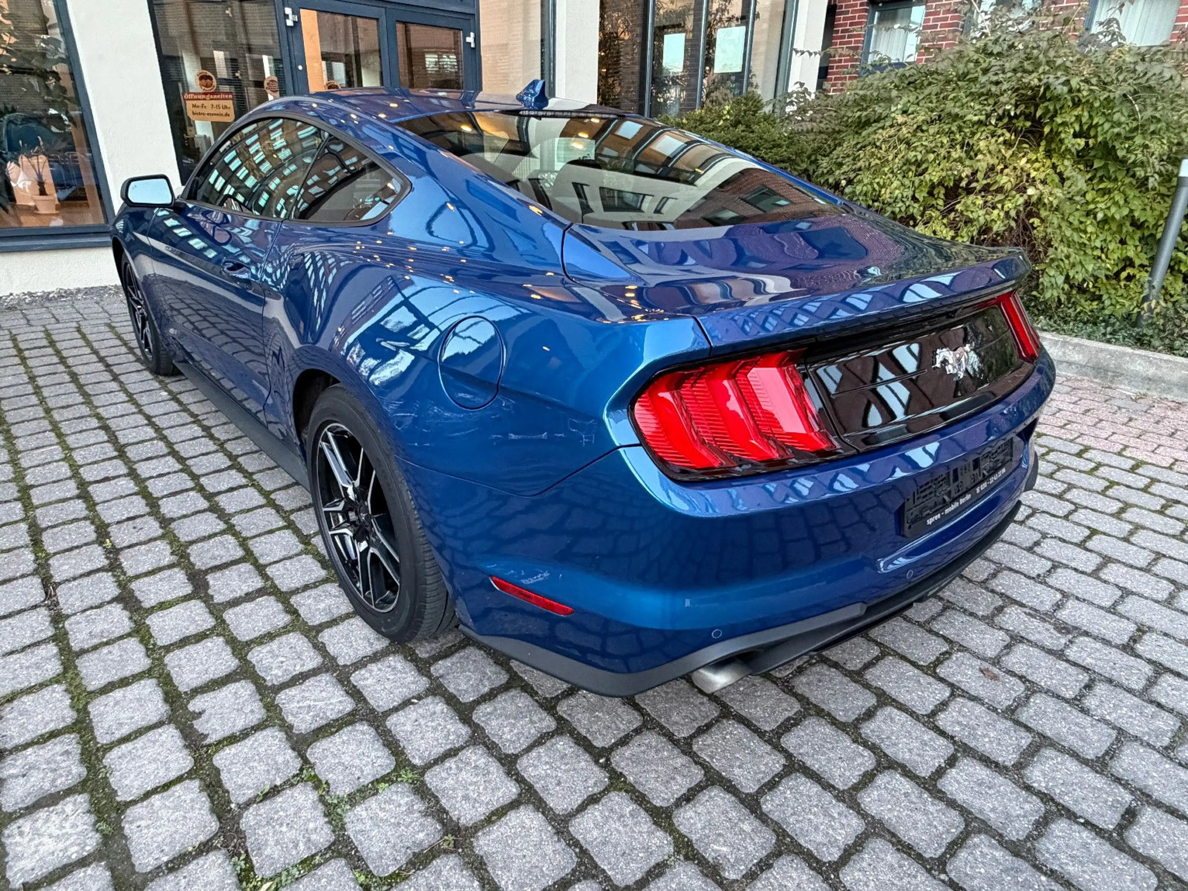 Ford Mustang Basis Fastback — photo 7