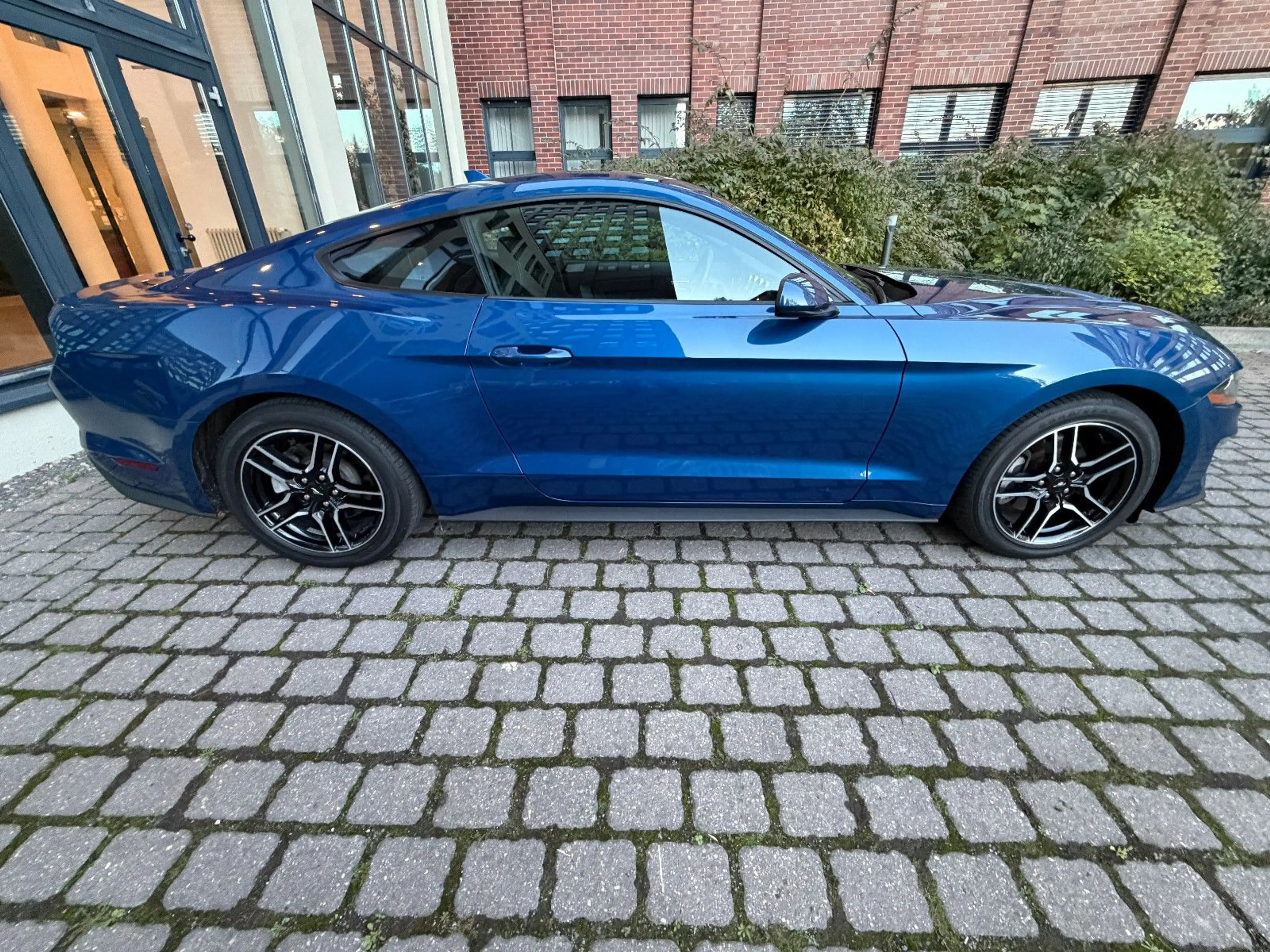 Ford Mustang Basis Fastback — photo 3