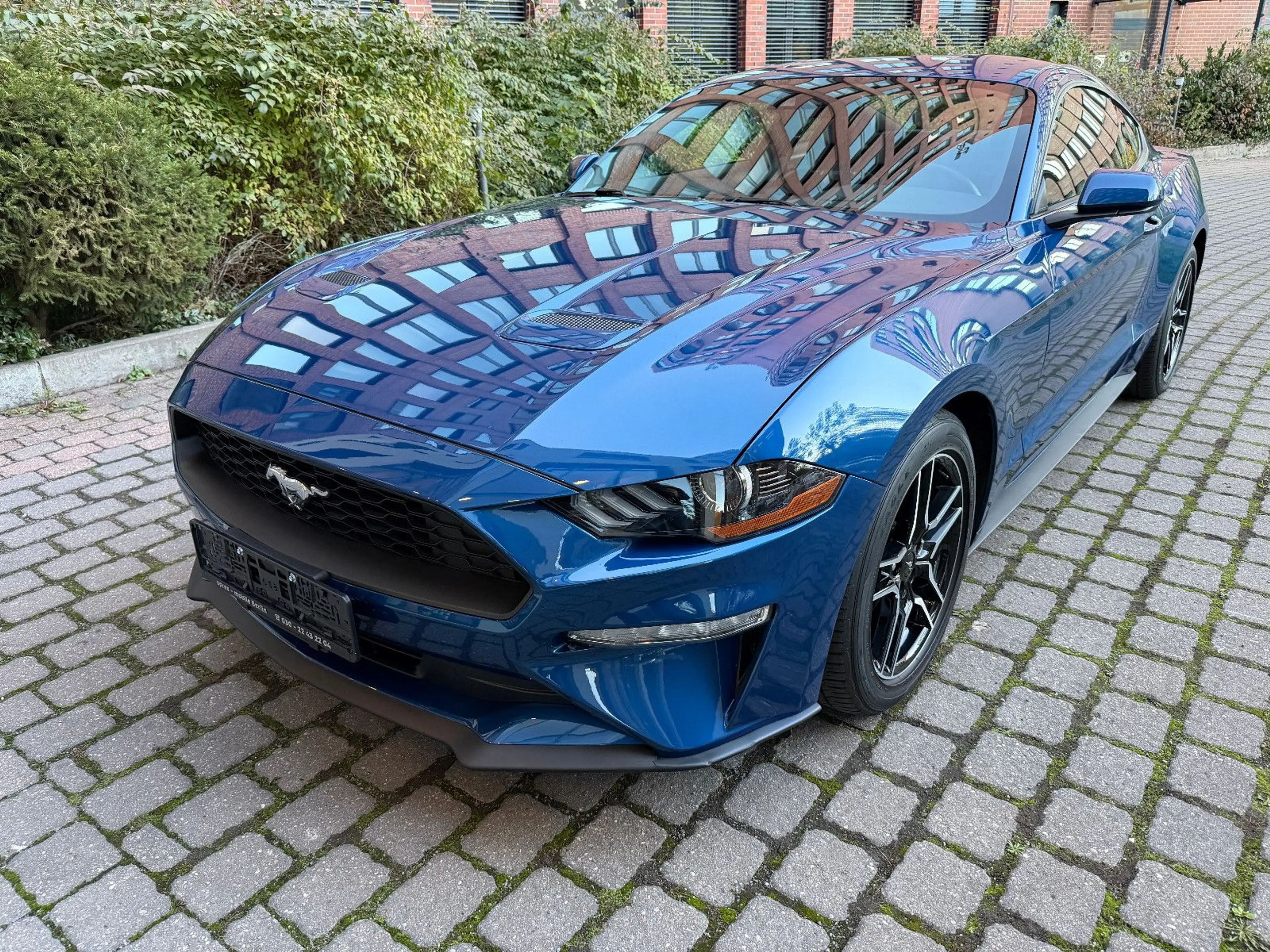 Ford Mustang Basis Fastback — photo 5