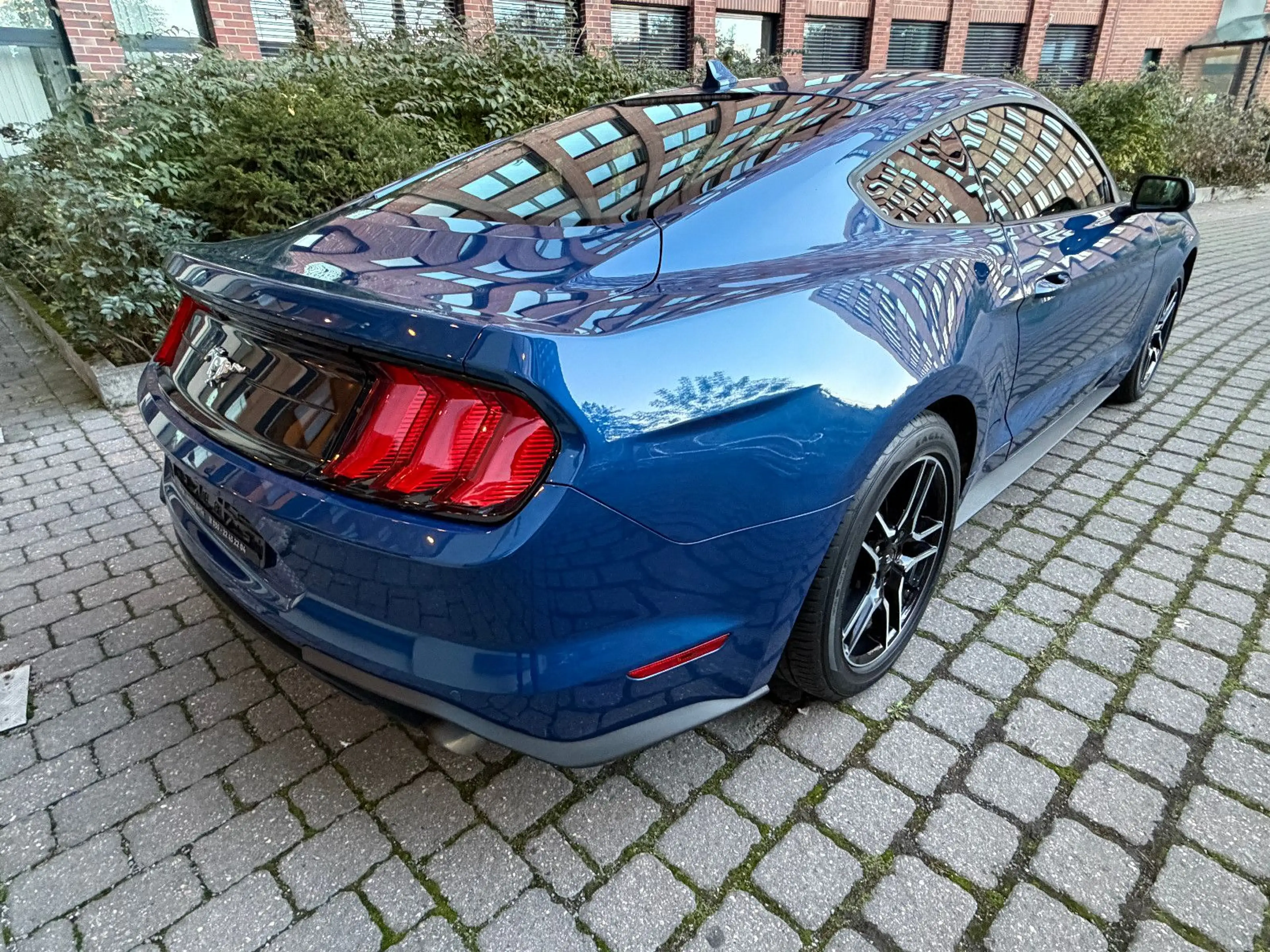 Ford Mustang Basis Fastback — photo 4
